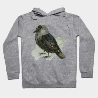 Cute jackdaw Hoodie